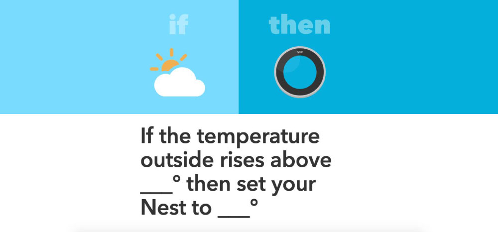 NEST image 1